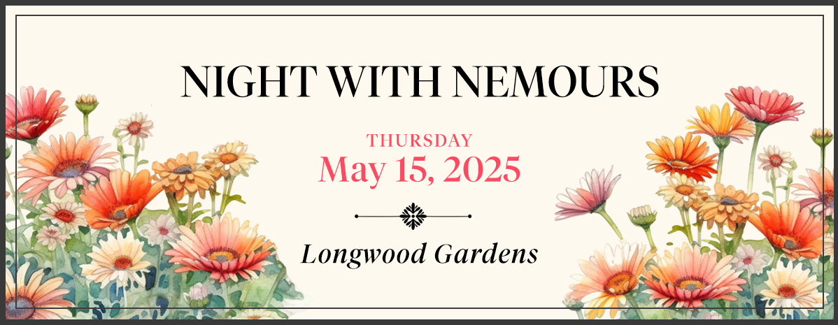 Night With Nemours